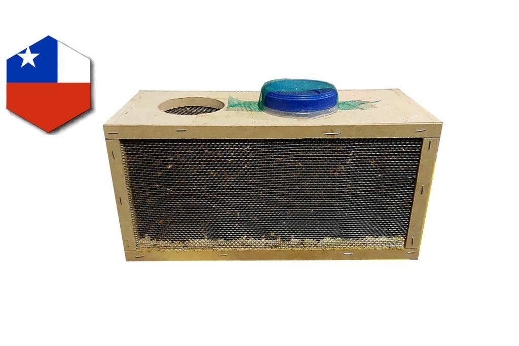 Forfaits abeilles chiliennes 2024