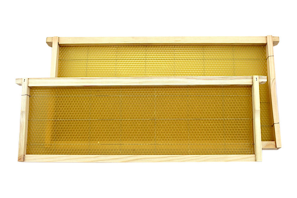 Assembled Frame with Wired Wax Foundation