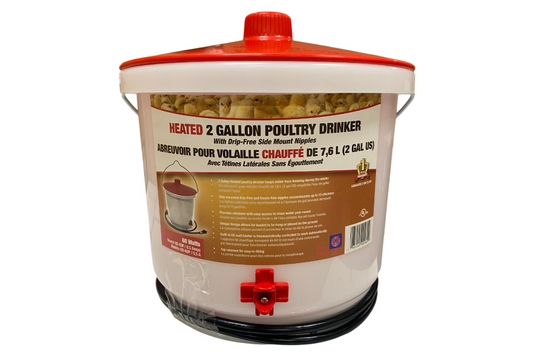 Heated 2 Gallon Poultry Drinker