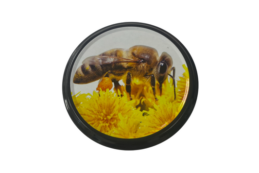Glass Jar Lids - Honey Bee
