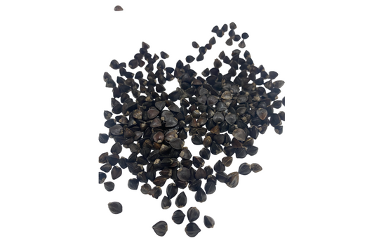 Buckwheat Seed