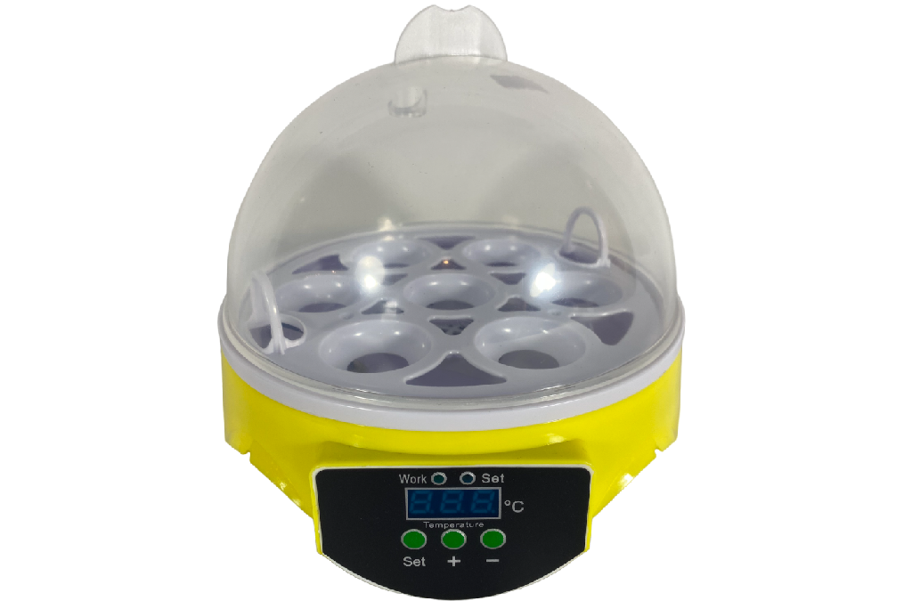 Mini Egg Incubator