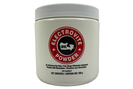 Electrovite Powder -300g