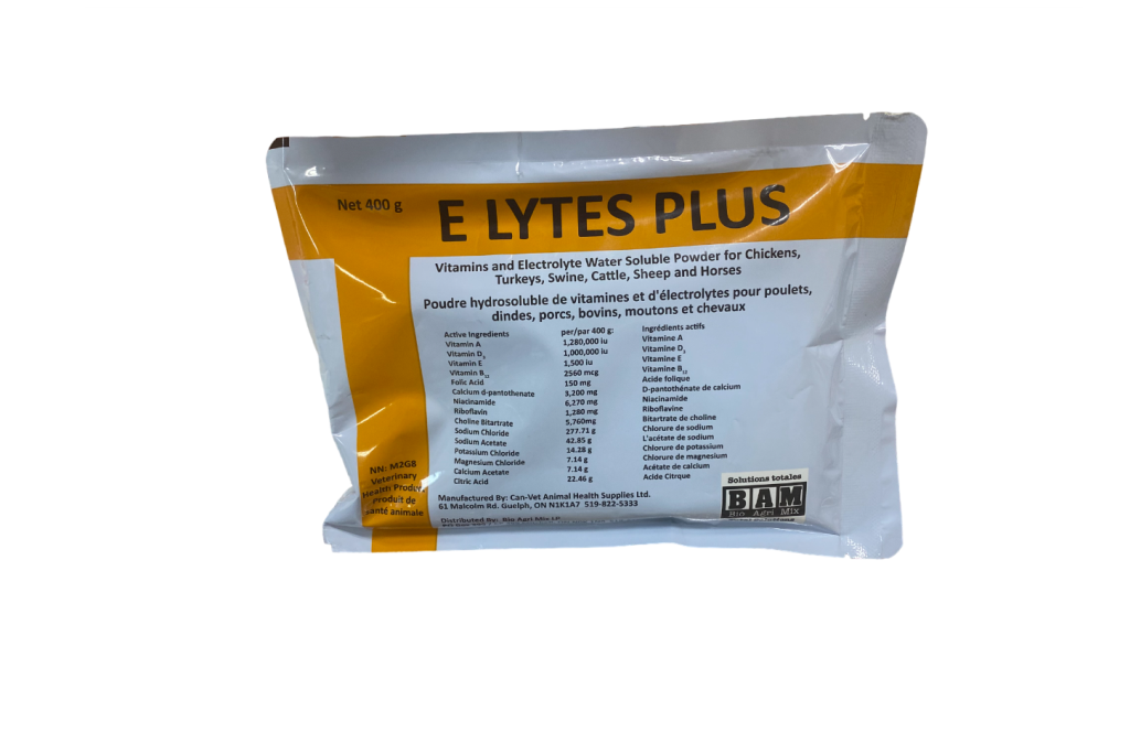 E Lytes Plus 400g