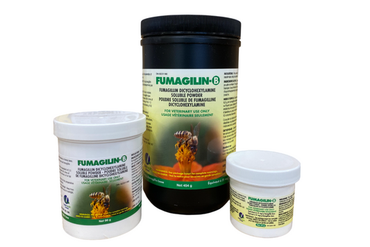 Fumagiline-B