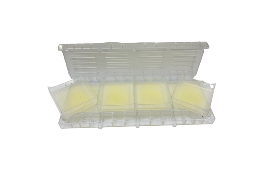 Hogg Halfcomb Medium Honey Frame