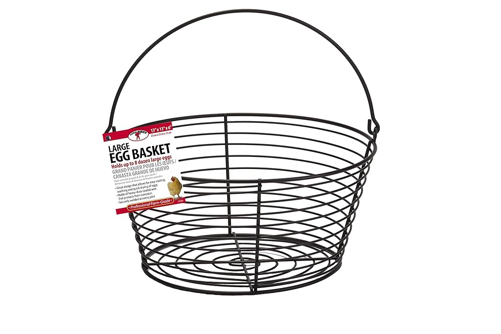 Large Egg Basket