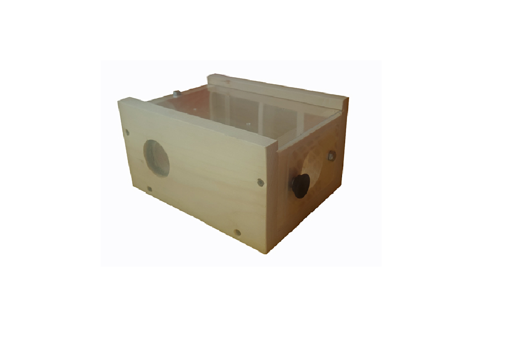 Bee Buddy Box