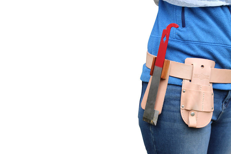 Paul Kelly Bee Belt